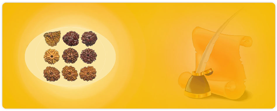 vaastu astrology Palmistry vastu consultant delhi